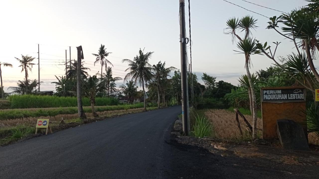 Neny'S Homestay Saba Bagian luar foto