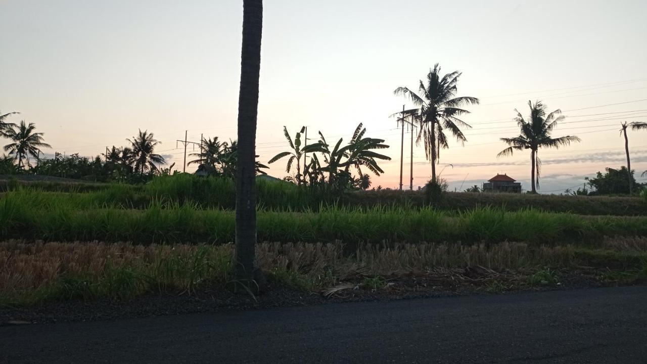 Neny'S Homestay Saba Bagian luar foto